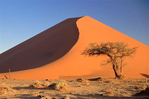 Desert of Namibia 2025